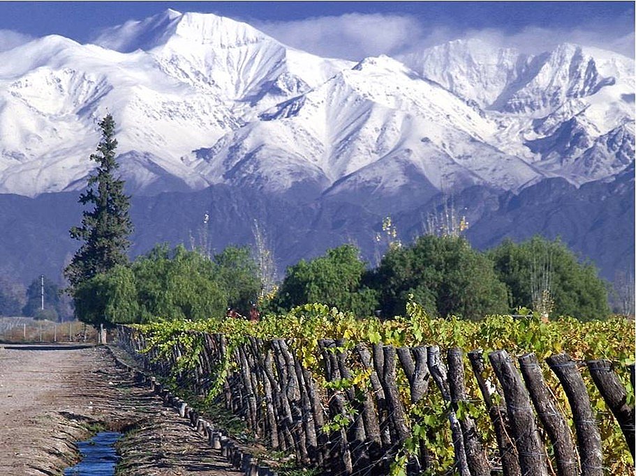 Lucatoni Cabernet Sauvignon