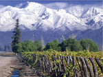 Lucatoni Cabernet Sauvignon