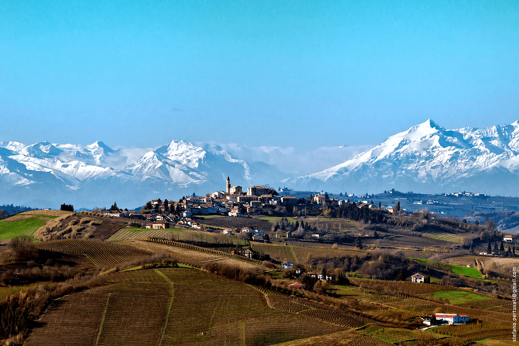 Montezemolo Arneis