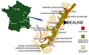 Chorey-les-Beaune Red Burgundy