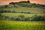 Il Vescovado Chianti