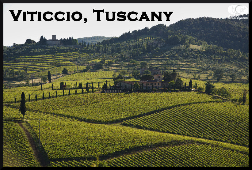 Chianti Classico Riserva DOCG